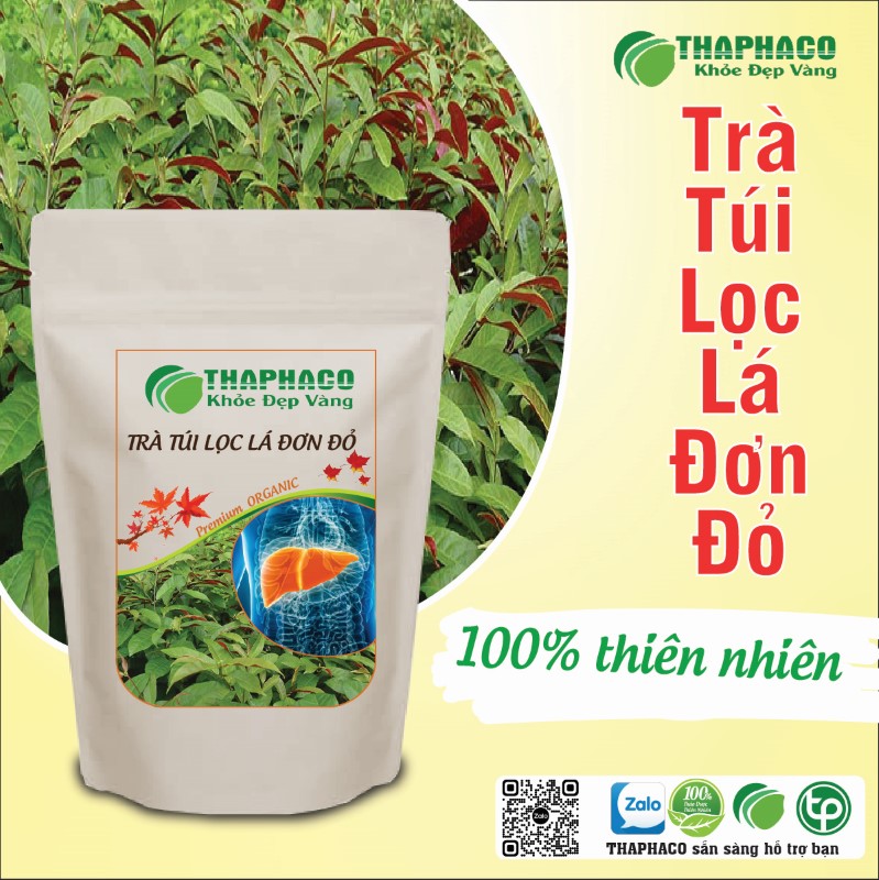 Trà túi lọc lá đơn đỏ có tác dụng gì?