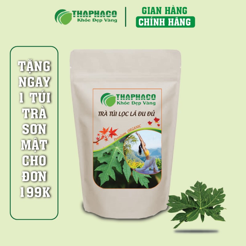 Địa chỉ mua trà túi lọc lá đu đủ khô ngon giá rẻ tại TP.HCM