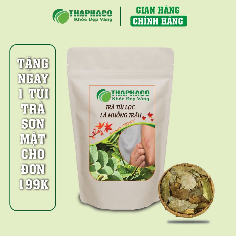 Địa chỉ bán trà túi lọc lá muồng trâu khô ngon giá rẻ tại TP.HCM