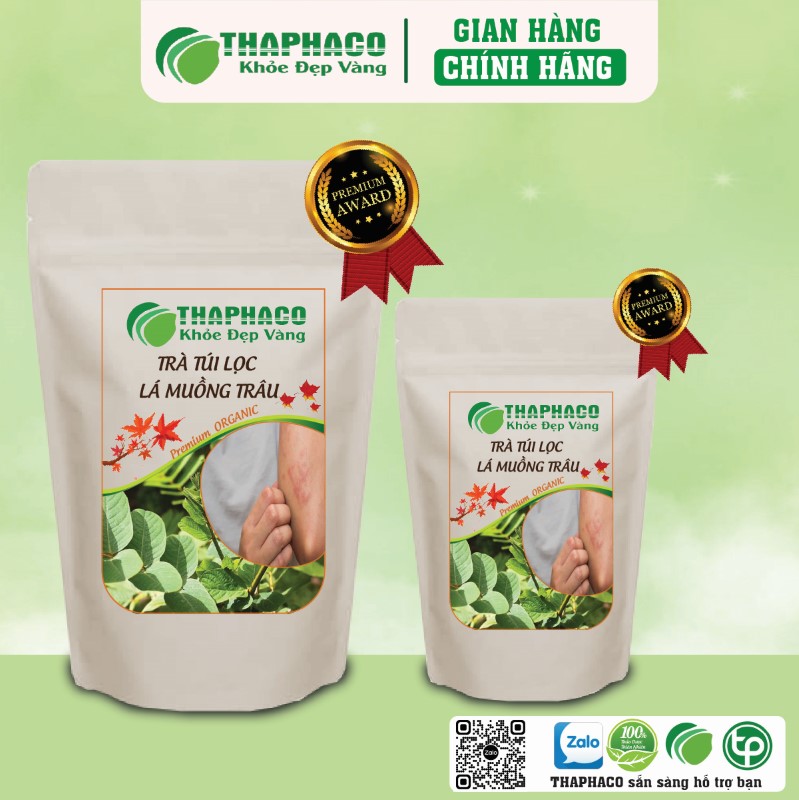 Nên uống trà lá muồng trâu vào lúc nào? 