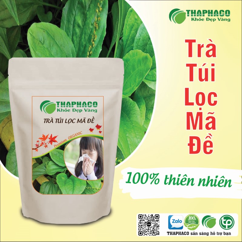 Trà túi lọc mã đề có tác dụng gì?