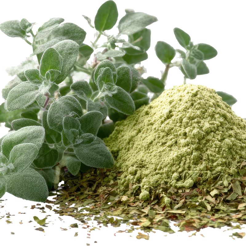 Giá bán bột xông hơi thảo mộc tại TP.HCM