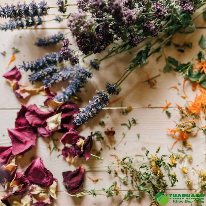 Giá hoa khô Đà Lạt tại TP.HCM 2026