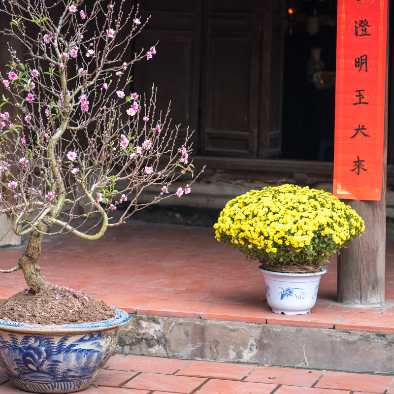 Lịch nghỉ Tết 2026 đang đến gần