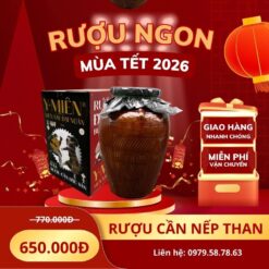 Mua rượu cần nếp than 6 lít giá tốt tại TP.HCM