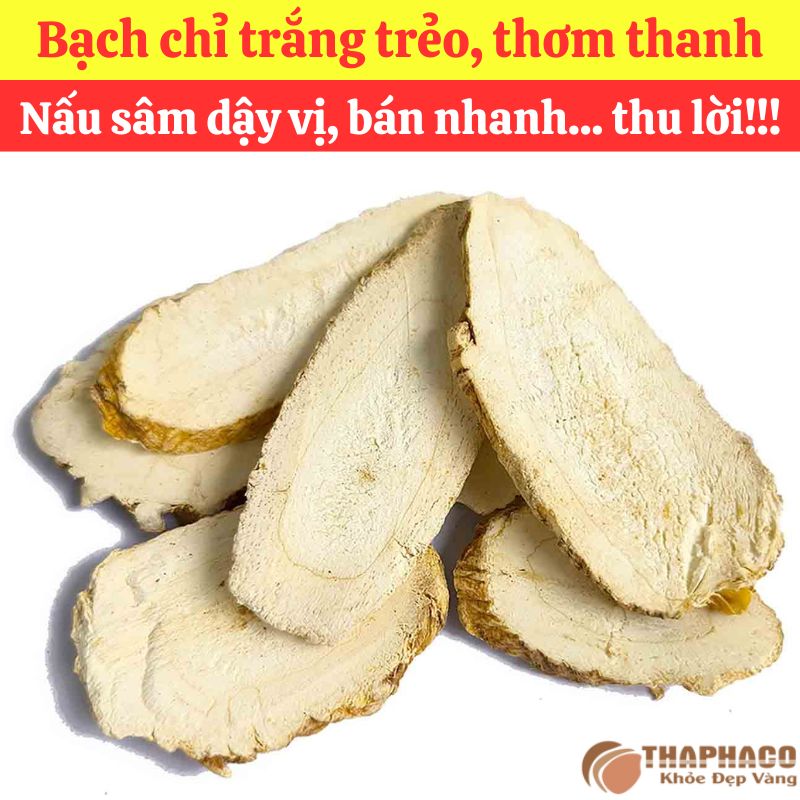 Công thức nấu Sâm Bạch Chỉ đơn giản tại nhà
