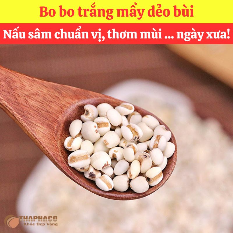 Bo Bo Nguyên liệu Nấu Nước Sâm