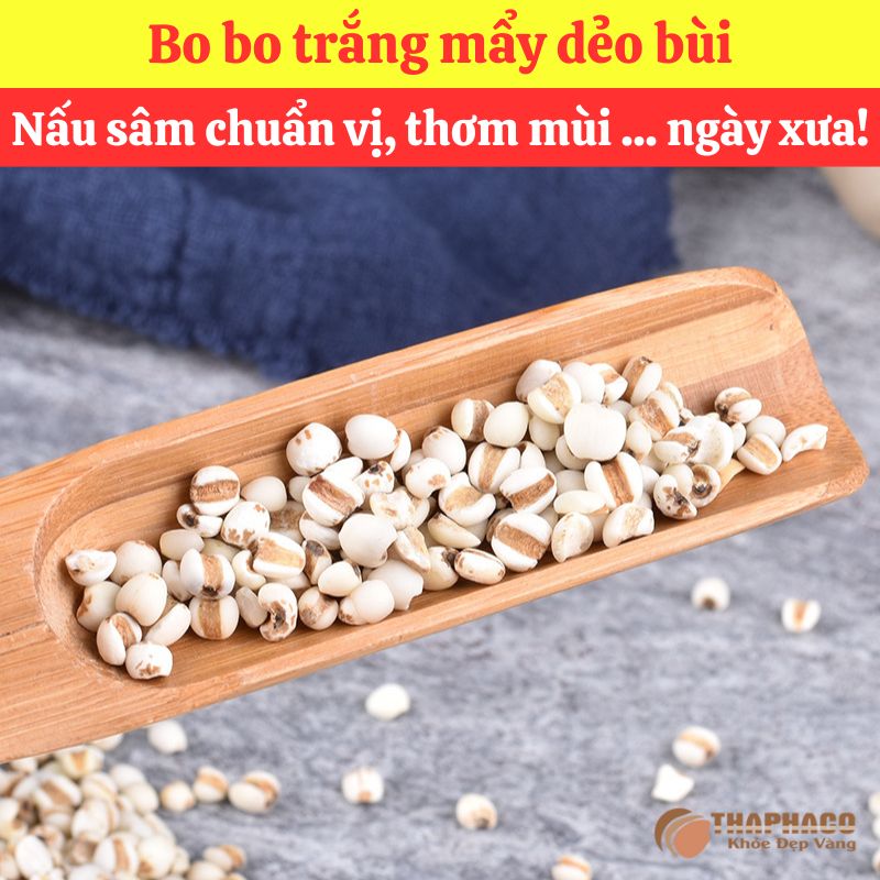Chính Sách Ưu Đãi Khi Mua Sỉ Bo Bo Tại THAPHACO