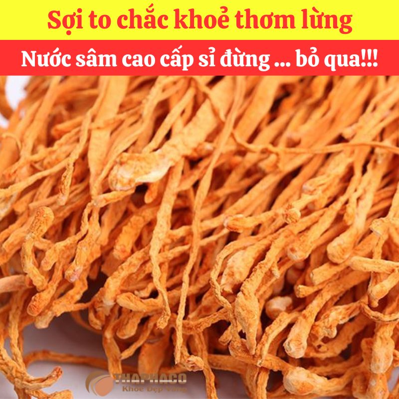 Đông Trùng Hạ Thảo Nguyên liệu Nấu Nước Sâm