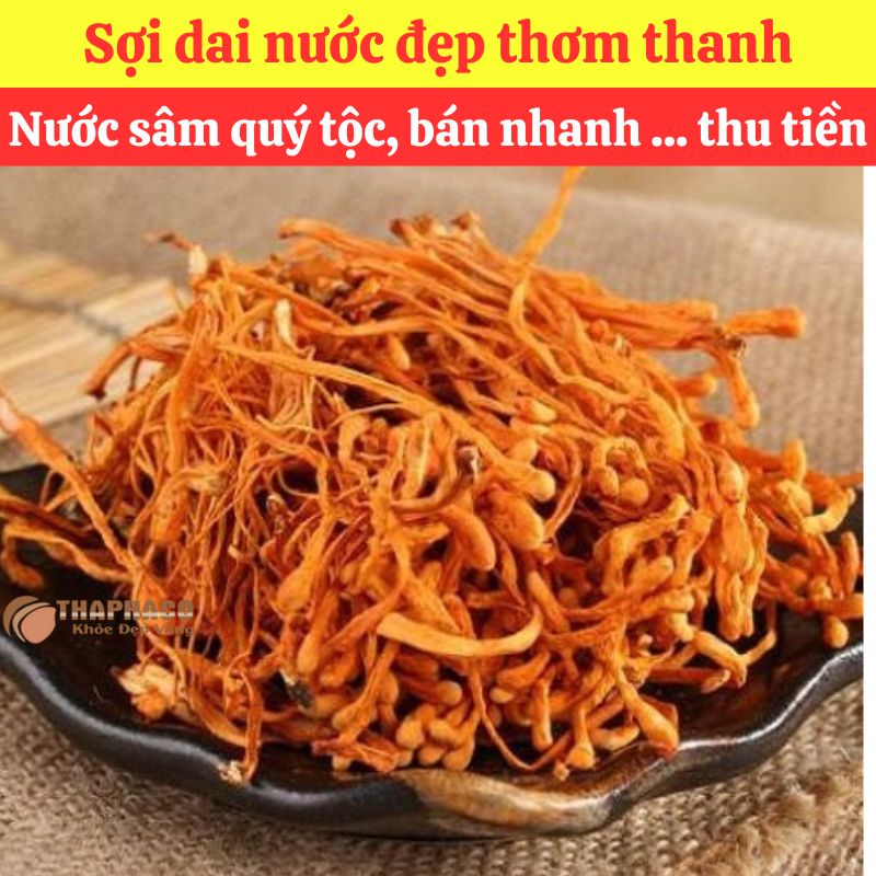 Đông Trùng Nhỏ Nguyên liệu Nấu Nước Sâm