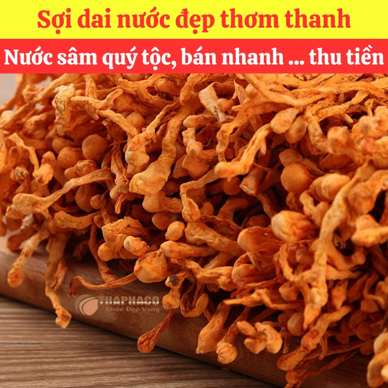Mua sỉ Đông Trùng Nhỏ Nguyên liệu Nấu Nước Sâm ở đâu?