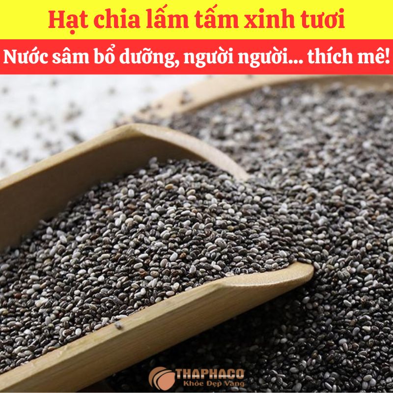 Ưu Đãi Khi Mua Sỉ Hạt Chia Nguyên Liệu Nấu Sâm Tại THAPHACO
