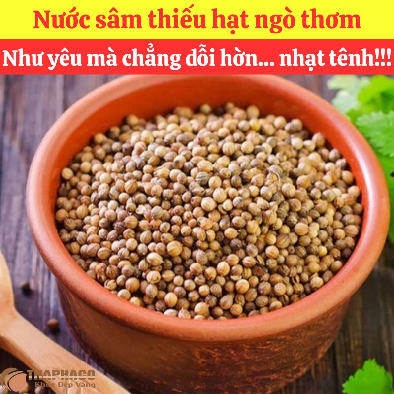 Hạt Ngò Nguyên liệu Nấu Nước Sâm