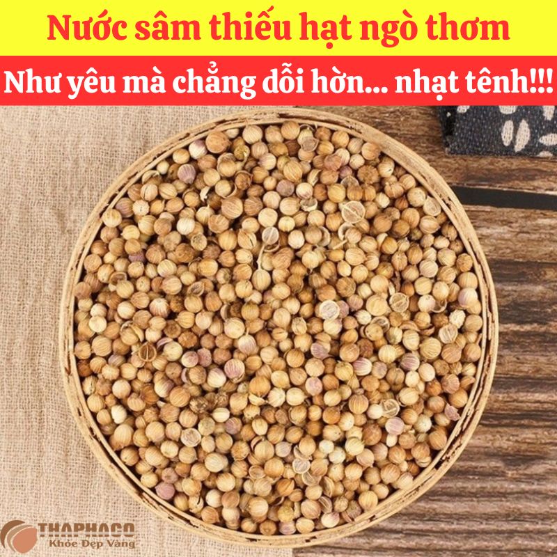 Mua sỉ Hạt Ngò Nguyên liệu Nấu Nước Sâm ở đâu?