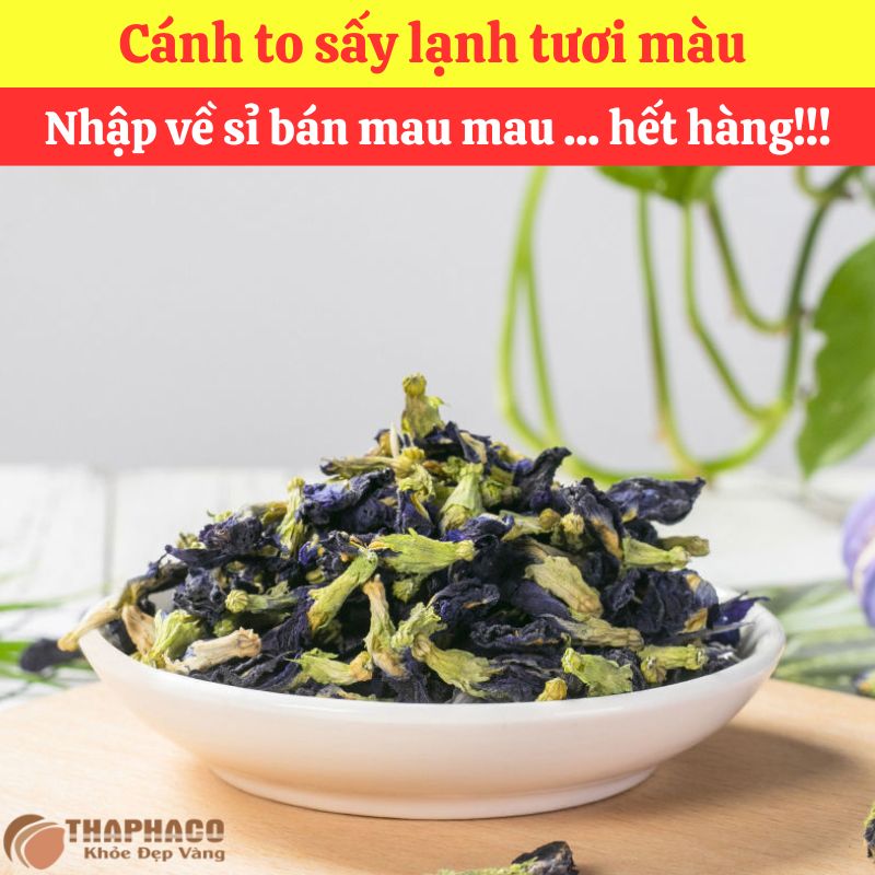 Cách nấu Sâm Hoa Đậu Biếc đơn giản tại nhà