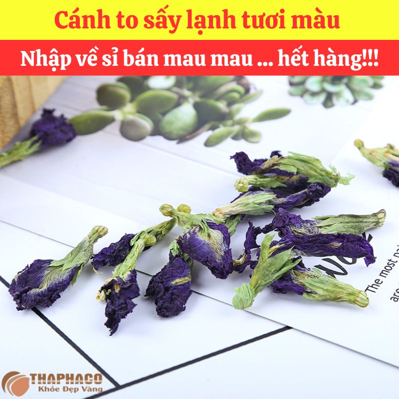 Mua sỉ Hoa Đậu Biếc Nguyên liệu Nấu Nước Sâm