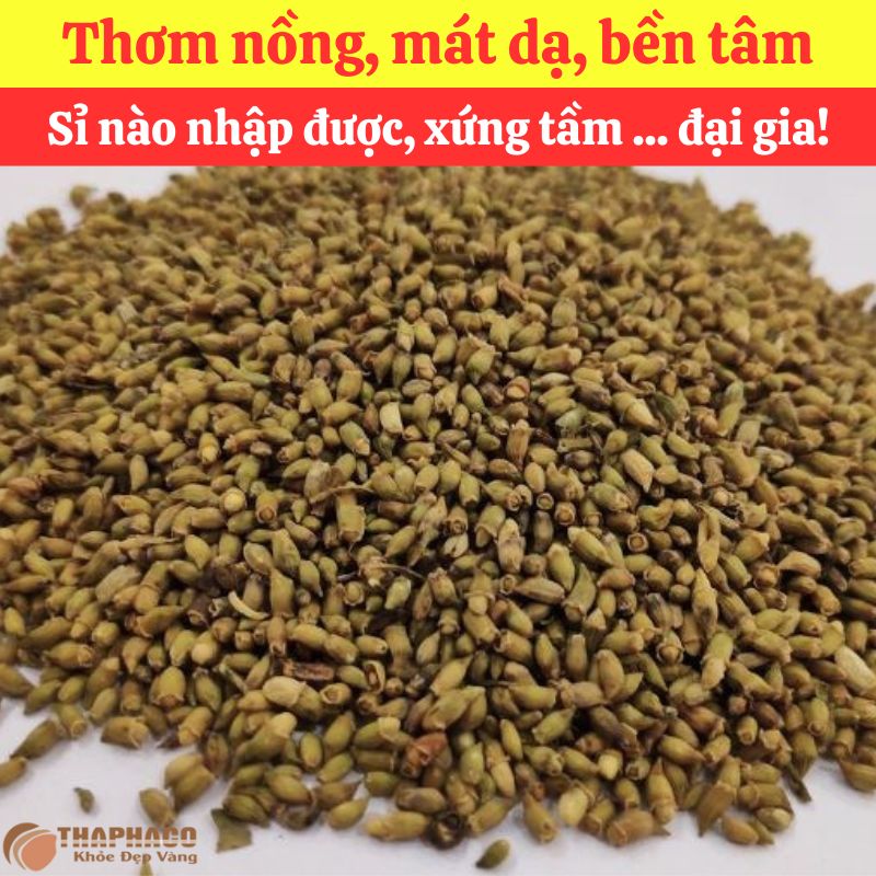Hoa Hoè Nguyên liệu Nấu Nước Sâm