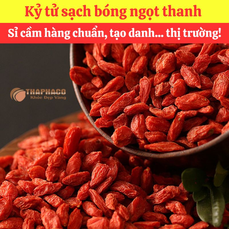 Ưu đãi khi mua sỉ kỷ tử nguyên liệu nấu nước sâm tại TP.HCM