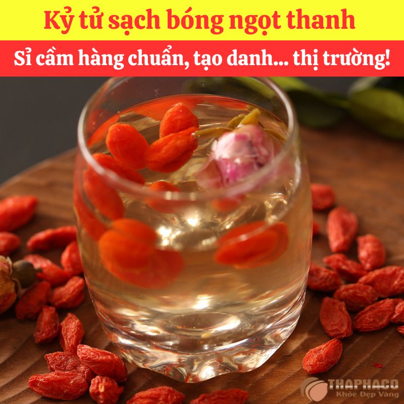 Cách nấu sâm kết hợp kỷ tử siêu dễ tại nhà