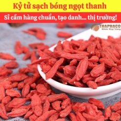 Alternative view of Mua kỷ tử nguyên liệu nấu nước sâm ở đâu?