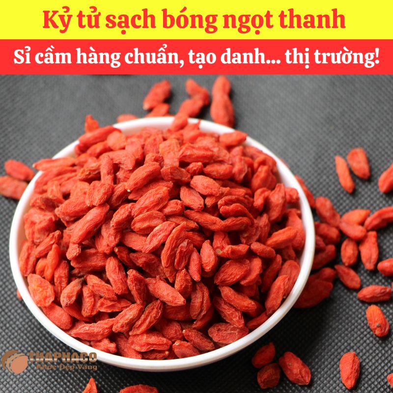 Mua sỉ kỷ tử nguyên liệu nấu nước sâm tại Trà hoa sấy khô (THAPHACO) 