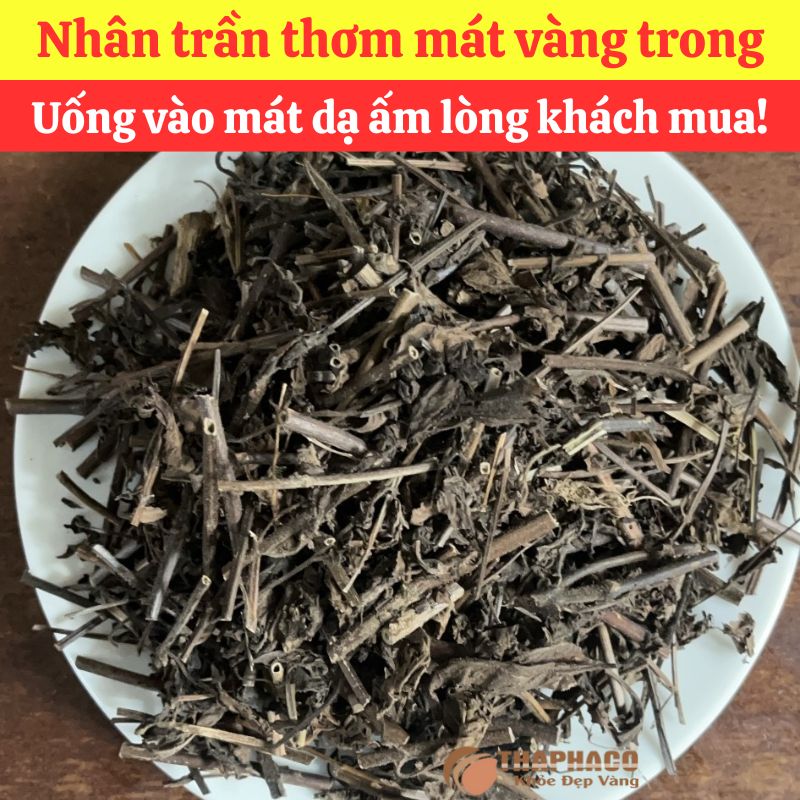 Mua Sỉ Nhân Trần Nam Tại THAPHACO