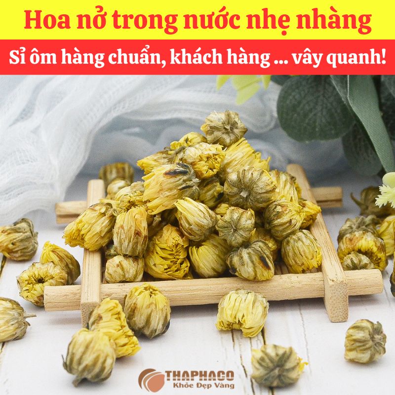 Nụ Cúc Nguyên liệu Nấu Nước Sâm