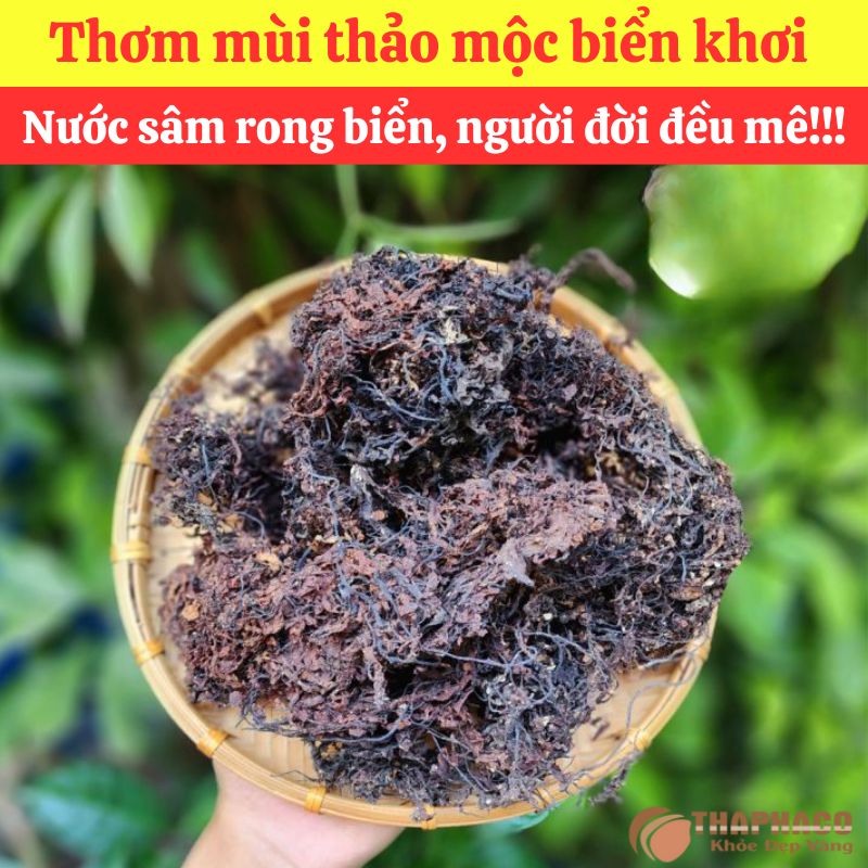 Ưu Đãi Khi Mua Sỉ Rong Mơ Tại THAPHACO