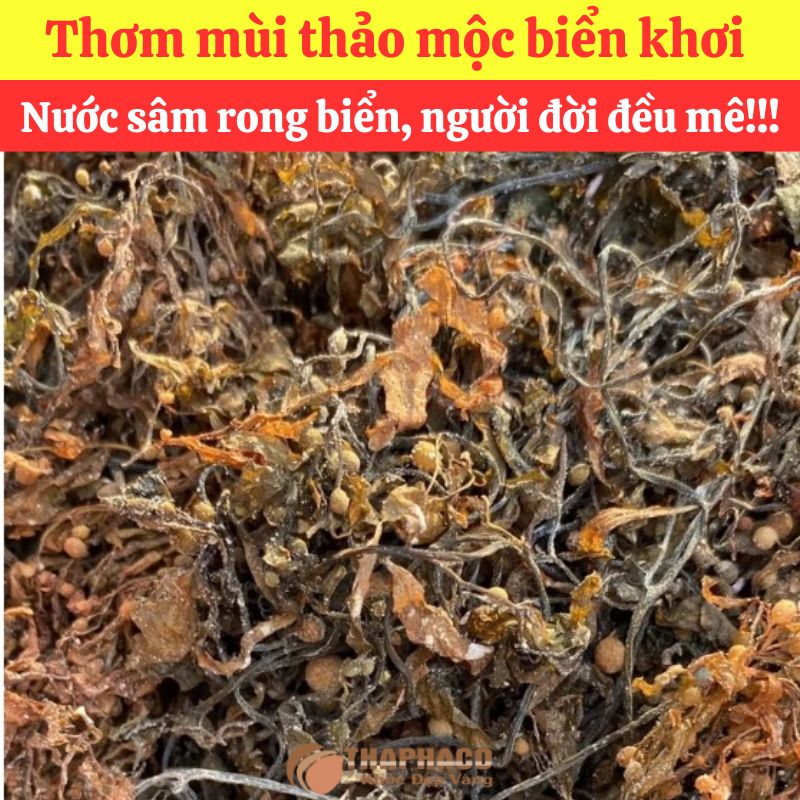Mua sỉ Rong Mơ Nguyên liệu Nấu Nước Sâm ở đâu?