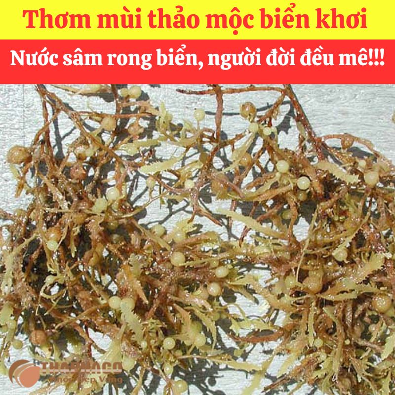 Rong Mơ Nguyên liệu Nấu Nước Sâm