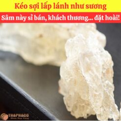 Alternative view of Mua tuyết yến nguyên liệu nấu nước sâm ở đâu?