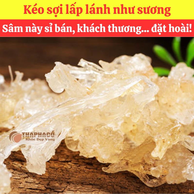 Ưu Đãi Khi Mua Sỉ Tuyết Yến Tại THAPHACO