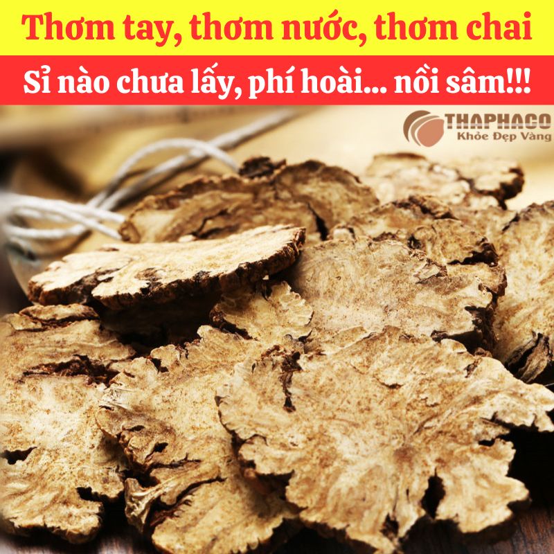 Ưu Đãi Khi Mua Sỉ Xuyên Khung Tại THAPHACO