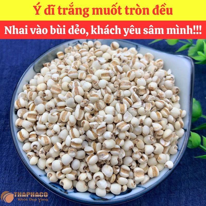 Mua sỉ Ý Dĩ Nguyên liệu Nấu Nước Sâm ở đâu?