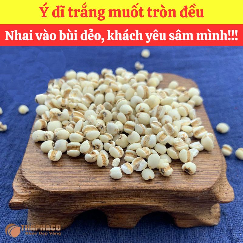 Ý Dĩ Nguyên liệu Nấu Nước Sâm