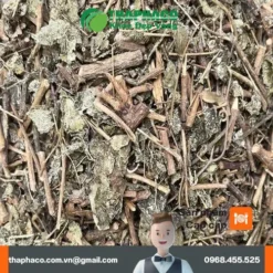 Chè Dây THAPHACO Giải Pháp Tự Nhiên Hỗ Trợ Dạ Dày Ngủ Ngon