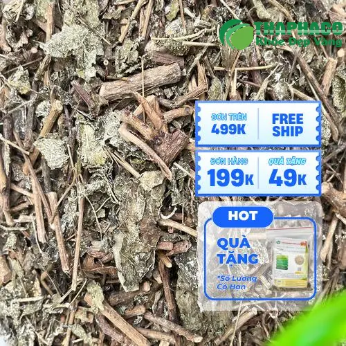 Chè dây THAPHACO - nguyên liệu pha trà thảo mộc tự nhiên tại TP.HCM