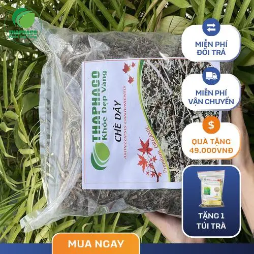 Trà Chè Dây khô thành phẩm chất lượng cao