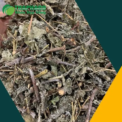 Chè Dây THAPHACO hỗ trợ tiêu hóa tốt