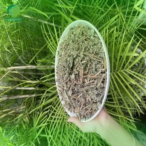 Hướng dẫn cách pha trà dây khô tại nhà chuẩn vị và hiệu quả