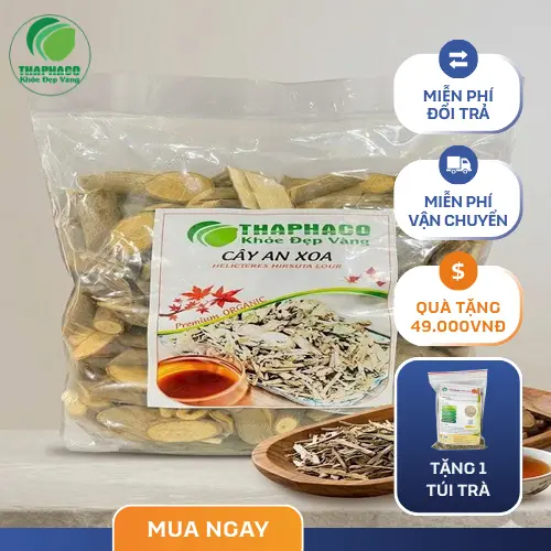 Cây an xoa tươi và đặc điểm nhận dạng