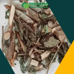 1kg Cây An Xoa Giá Bao Nhiêu? Cập Nhật Giá Mới Nhất 2024