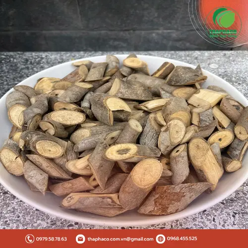 Cây an xoa chất lượng cao tại THAPHACO