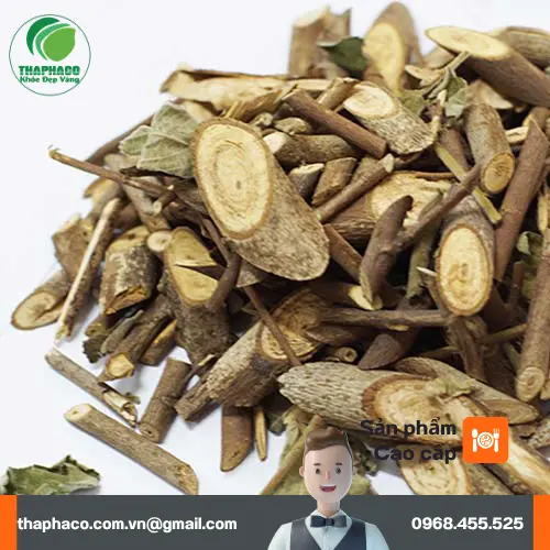 Các lợi ích sức khỏe từ việc sử dụng An Xoa đúng cách