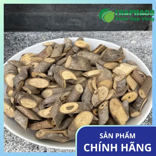 Dược sĩ tư vấn về cách sử dụng cây an xoa hiệu quả