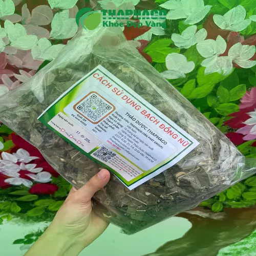 Hình ảnh cây Bạch Đồng Nữ tươi và khô