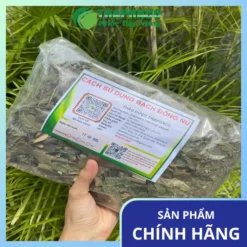 Giá Bạch Đồng Nữ THAPHACO: Chất Lượng Từ Chuyên Gia