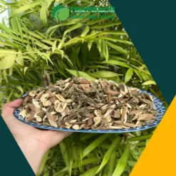 Địa chỉ cung cấp sỉ lẻ bạch đồng nữ khô giá tốt