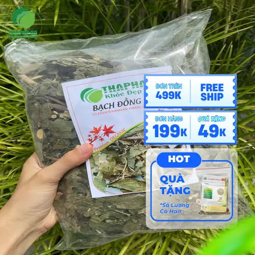 Cách chế biến bạch đồng nữ khô thành trà