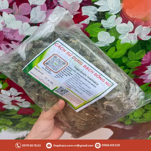 Trà thảo dược Bạch Đồng Nữ khô chất lượng cao